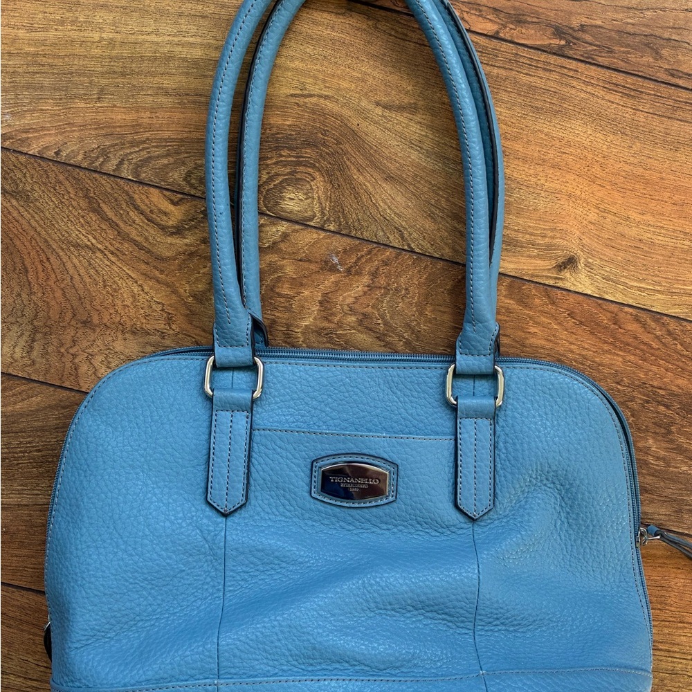 Tignanello Sky Blue Shoulder Bag